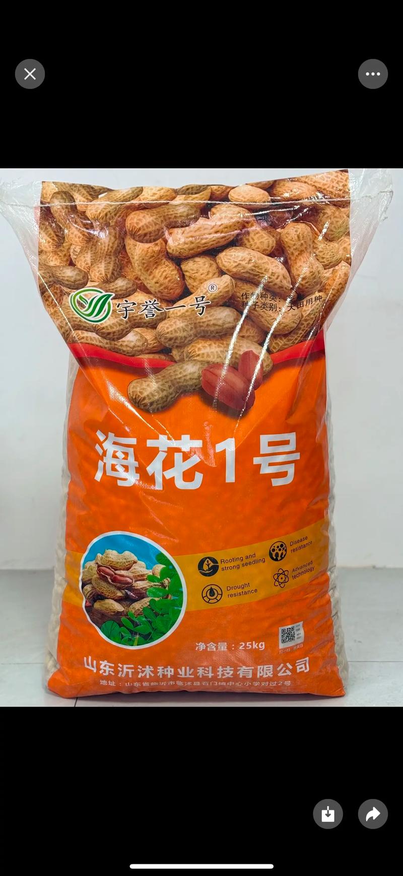 蔬菜种子大全：开启绿色健康生活的钥匙