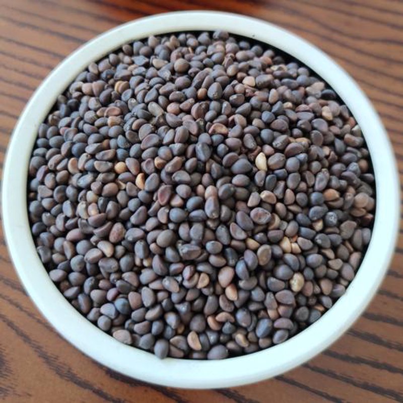 蔬菜种子选购指南：让你的菜园丰收不断