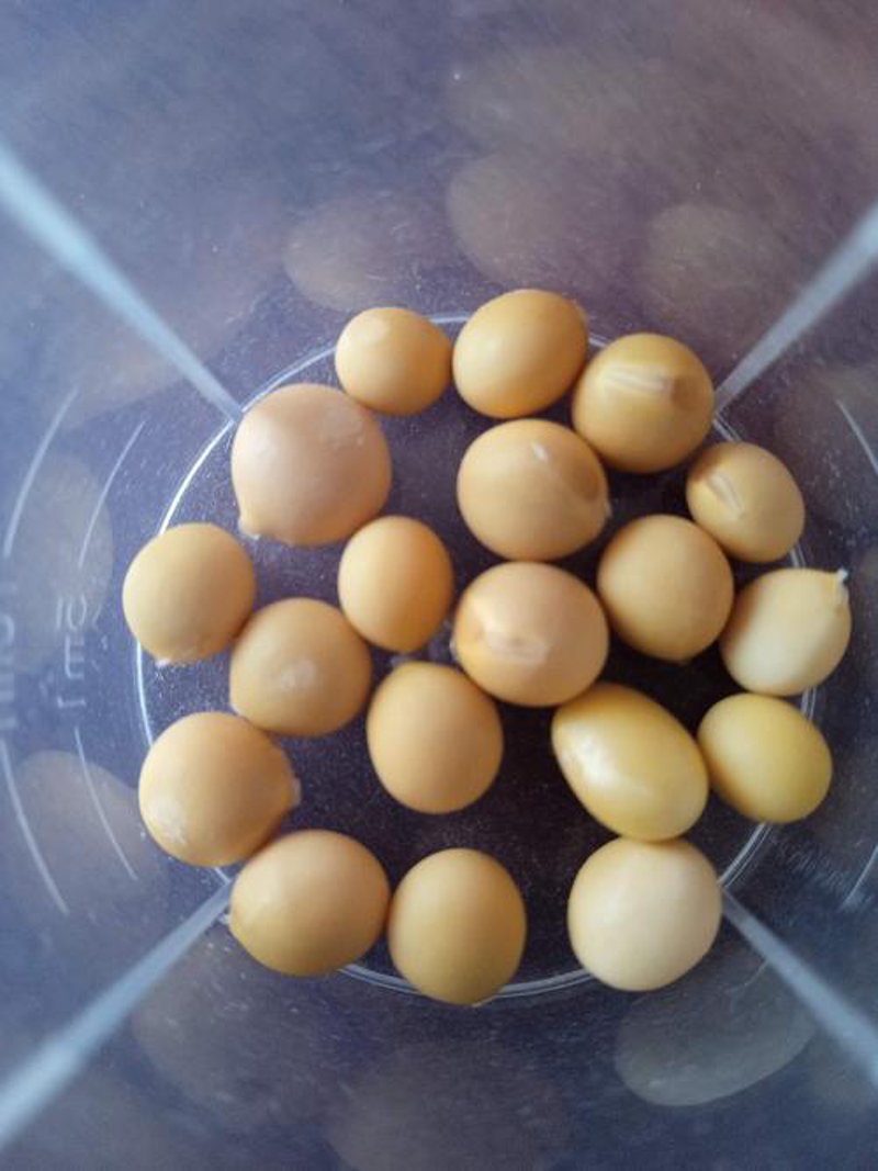 棉花种子品种的选择与应用：以实践看未来