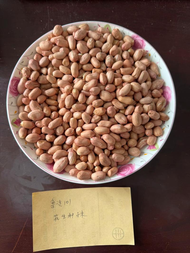 蔬菜种子选购指南:新手必备宝典